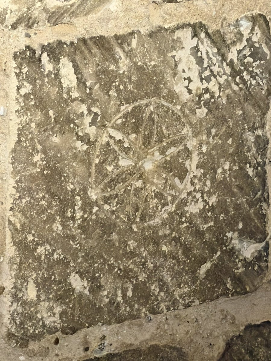 Graffiti carved into the walls of Colchester Castle, including a man holding a sword, a mounted knight and a circular symbol usually interpreted as a witch mark #colchestercastle #graffiti #colchester #medieval #witchmark