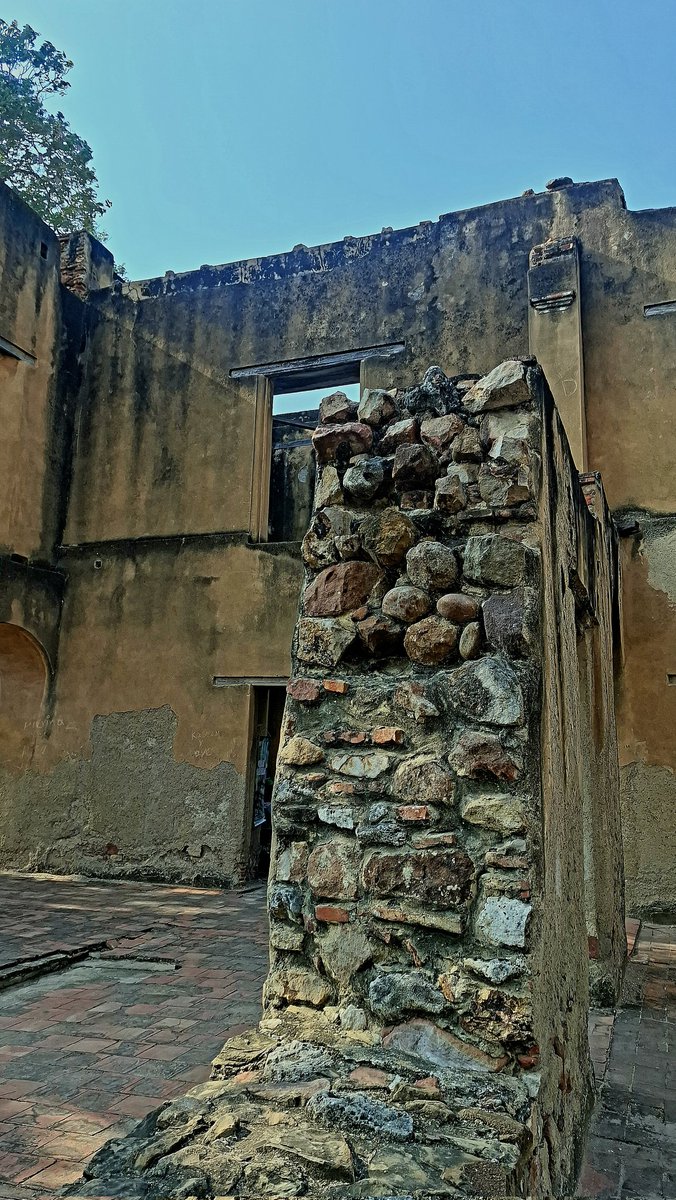 Valeria | Valtina.sol 💜 tweet media