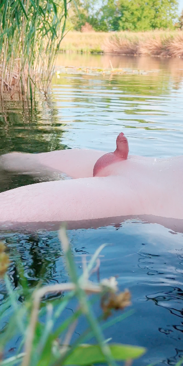 smalldickuncut tweet media