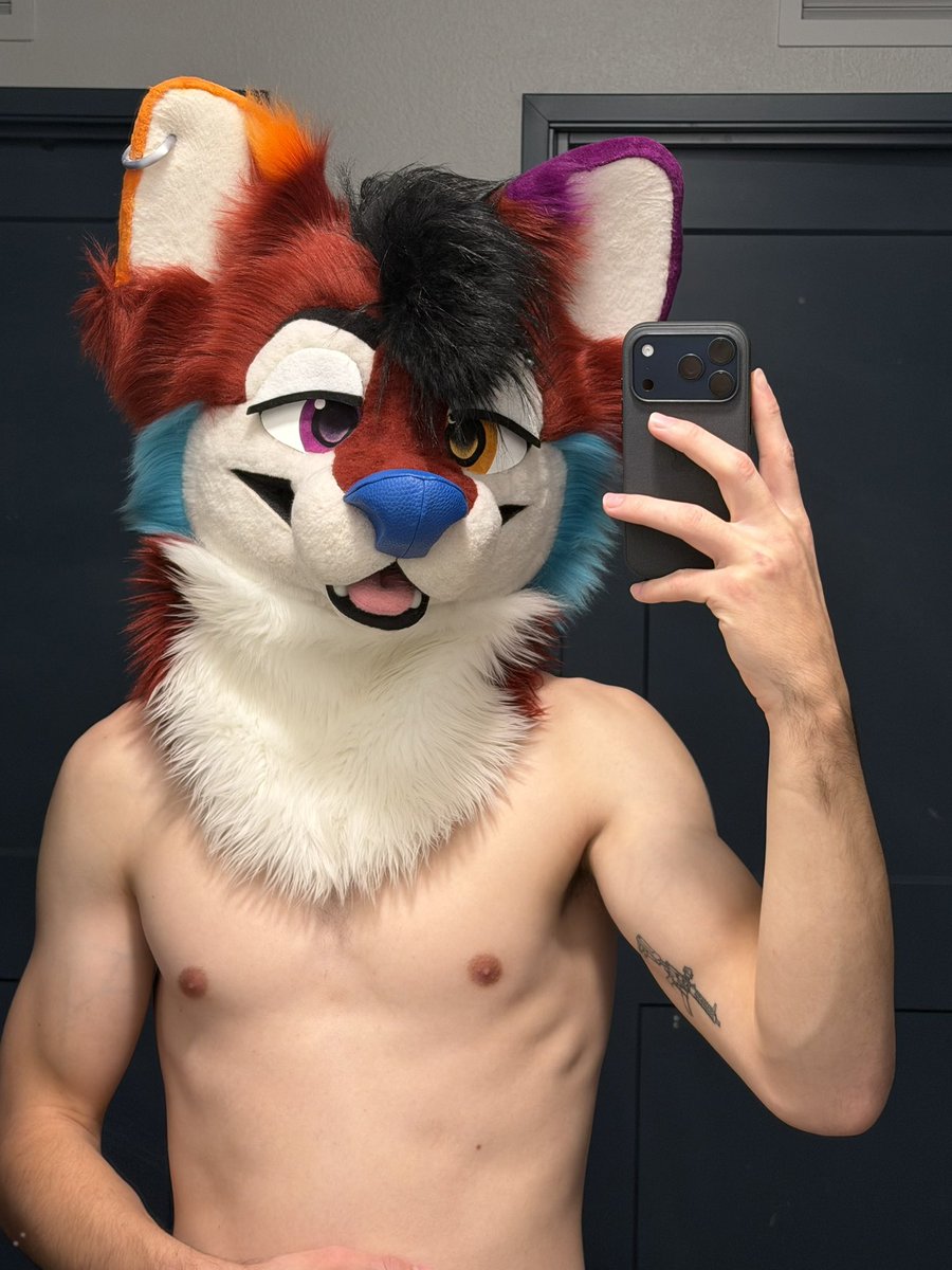 Estin❤️ 🔜 Furlingame 2026 tweet media