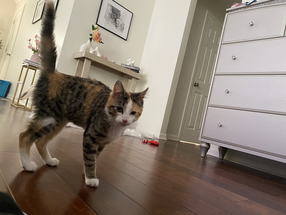 Specs ★ tweet media