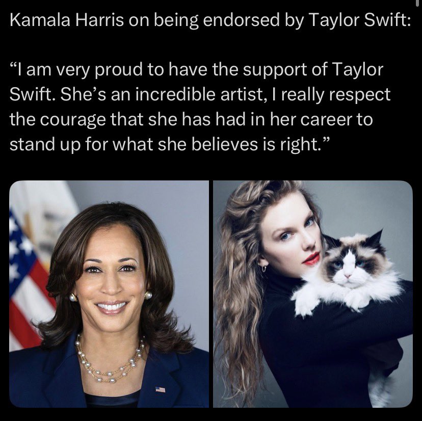 willnights tweet media