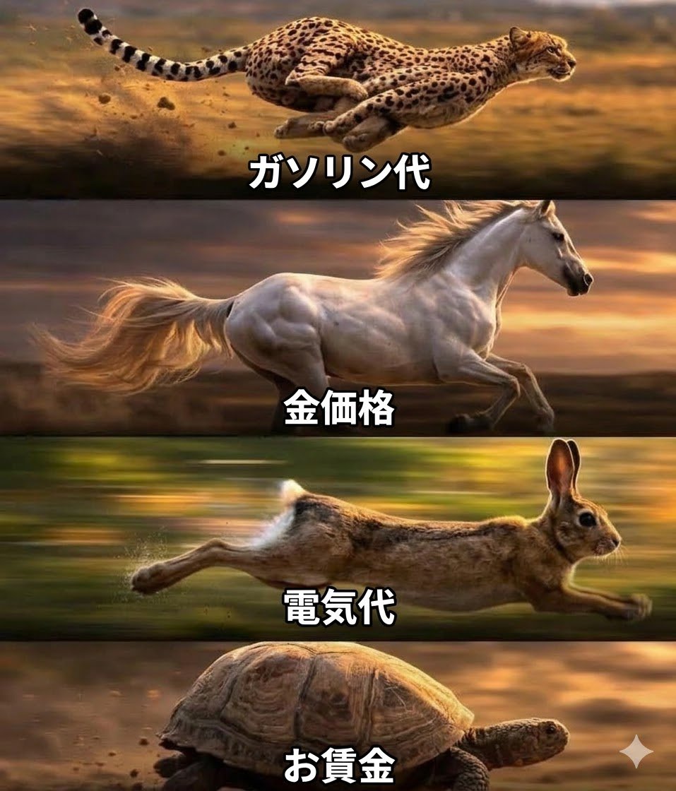 やす 🇺🇸 ベンチャーキャピタル tweet media