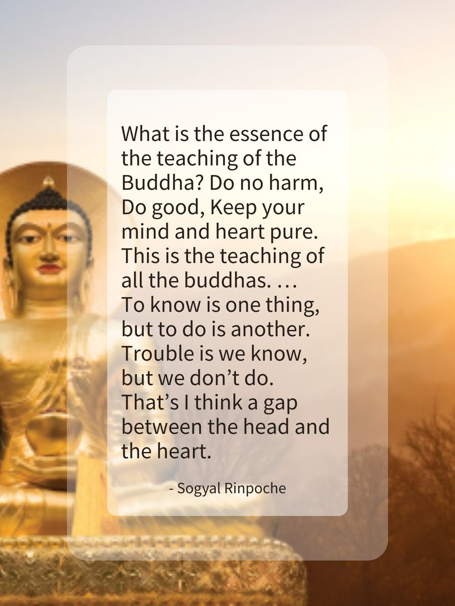 Key insights from the Buddha’s life and teachings to show how, through meditation and shifting our focus inwards, we can find true, unending contentment.

registration.rigpa.org.au/civicrm/event/…

#buddhist #buddhism