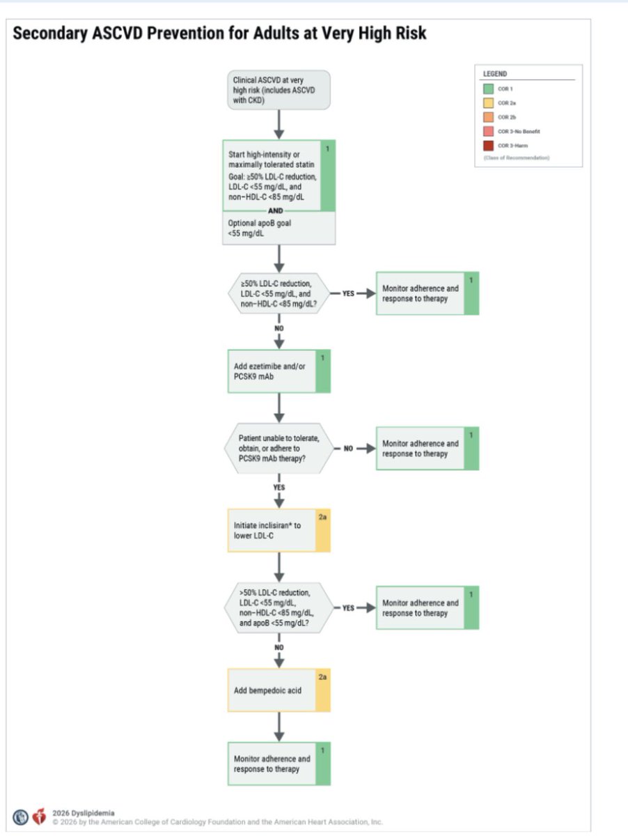 Almudena Castro Conde tweet media