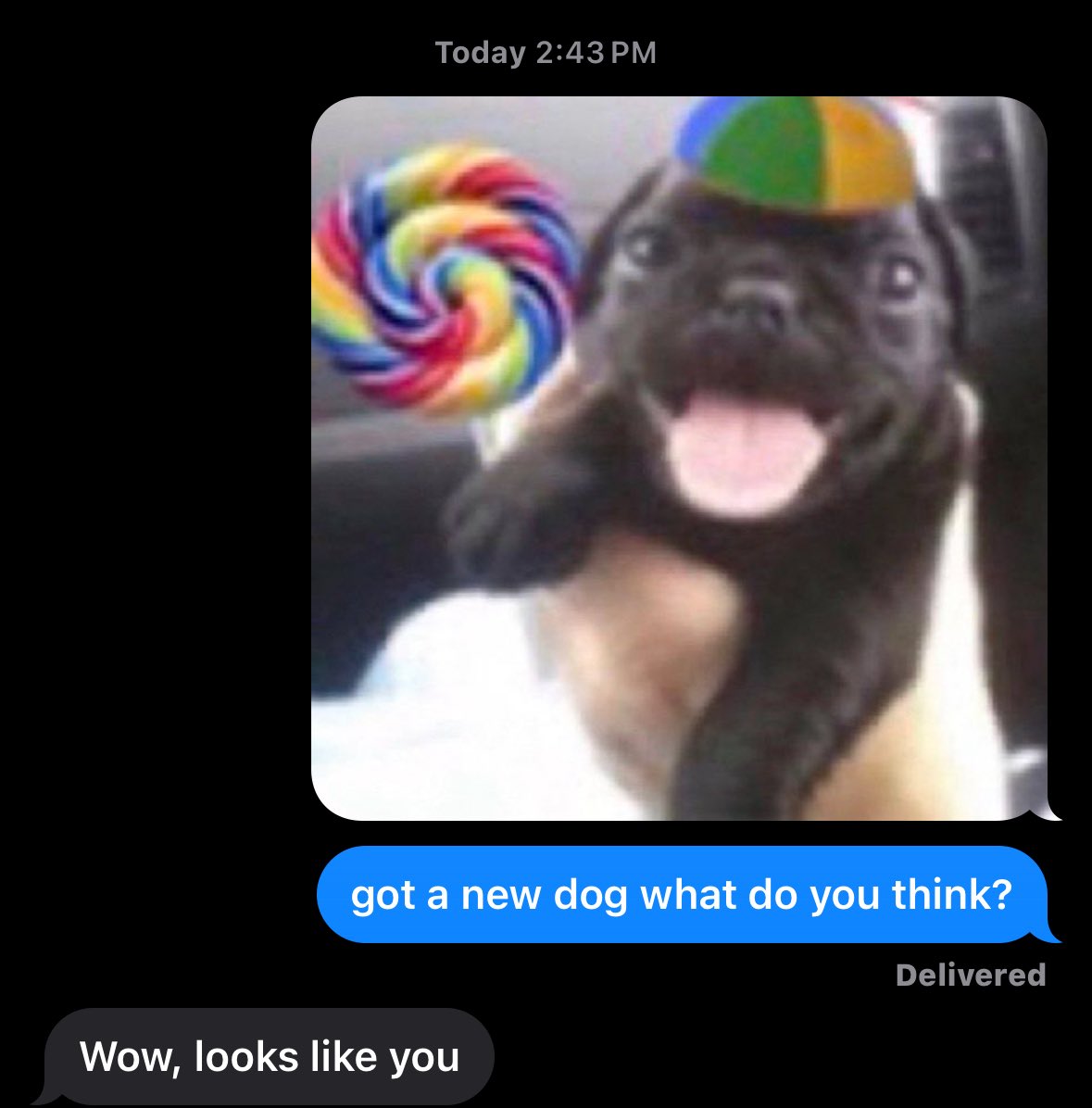 ノ彡☆ tweet media