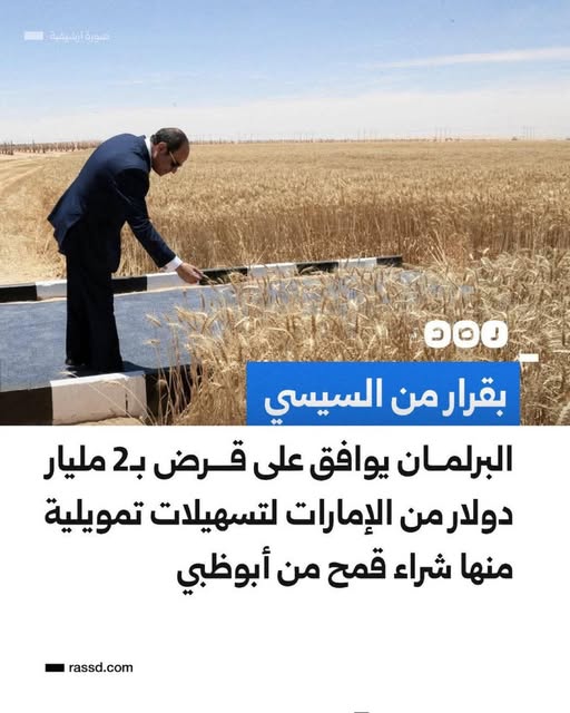 مش ده القمح اللي بيتزرع على أرضنا و لا حاجه تانيه 🤔🤔🤔🤔
