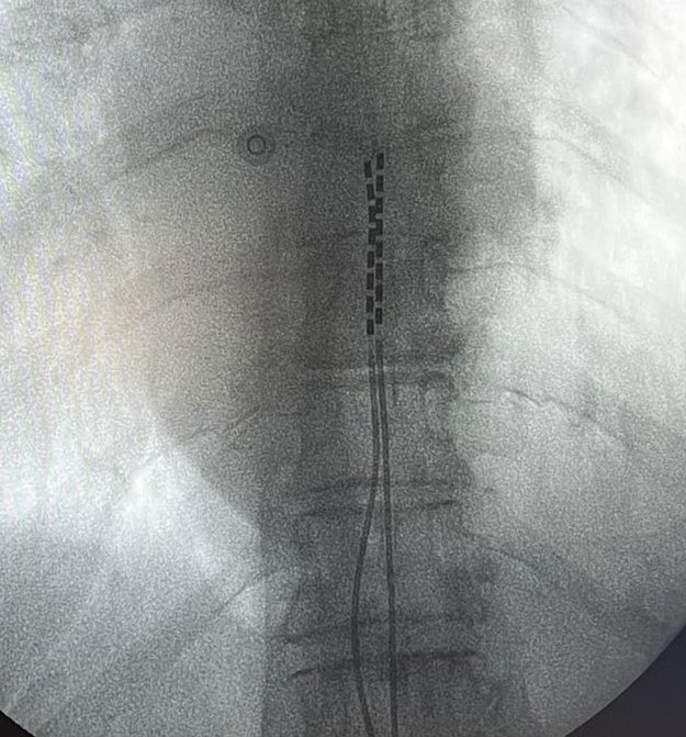 Manuel Herrero Trujillano tweet media