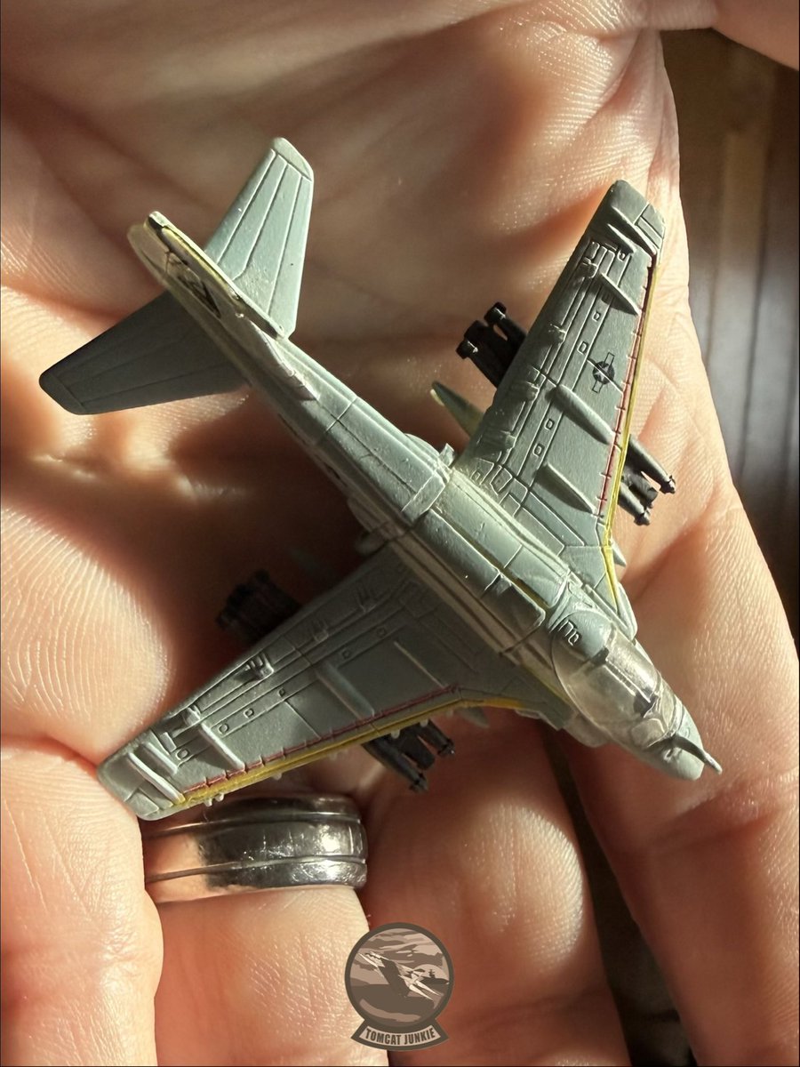 TomcatJunkie🏴‍☠️ tweet media