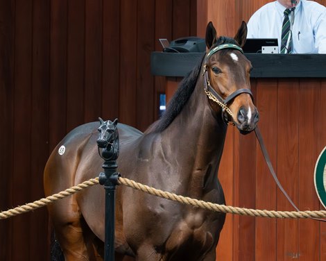 Gabriel García tweet media