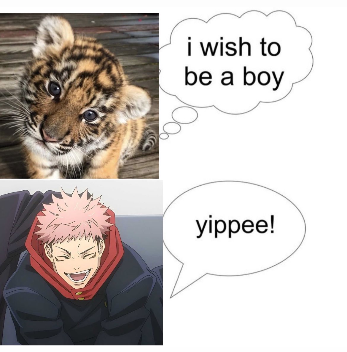Yuuji 🥹