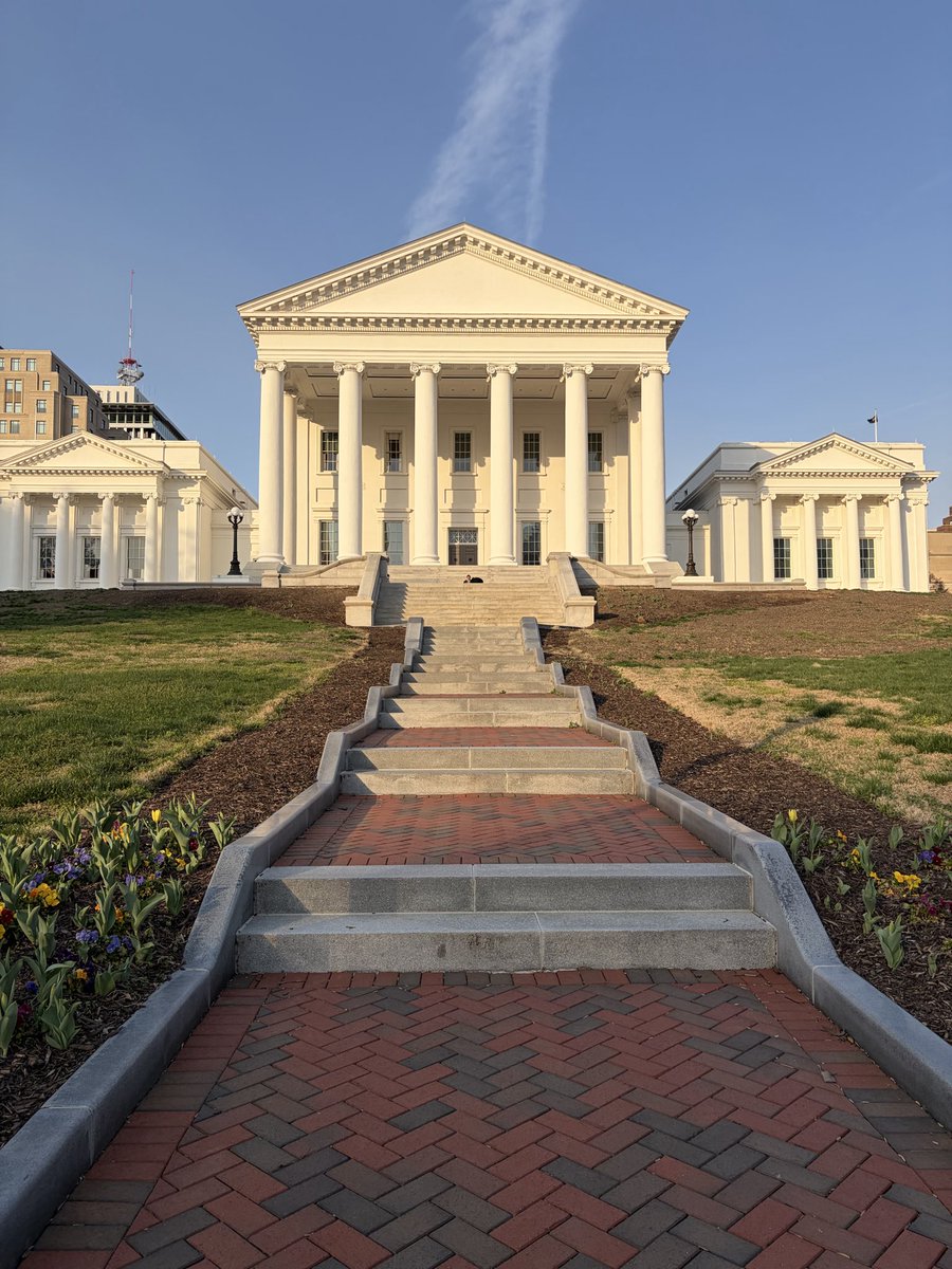 Tyler Englander tweet media