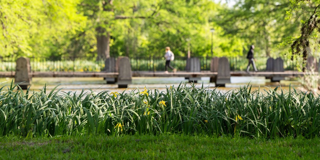Texas State University tweet media