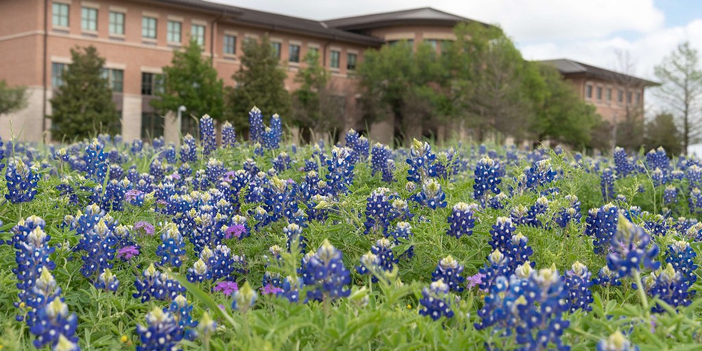 Texas State University tweet media