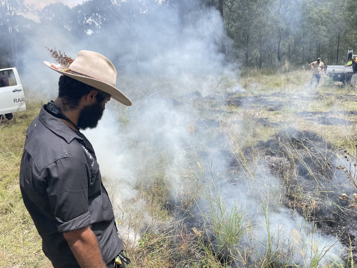 Firesticks tweet media