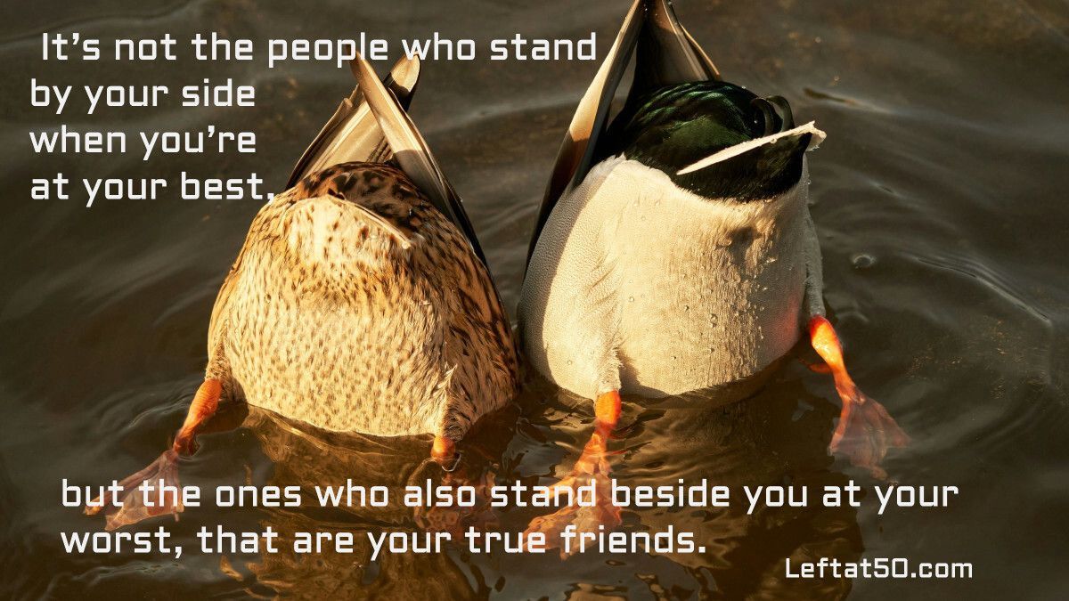 Left At 50 tweet media