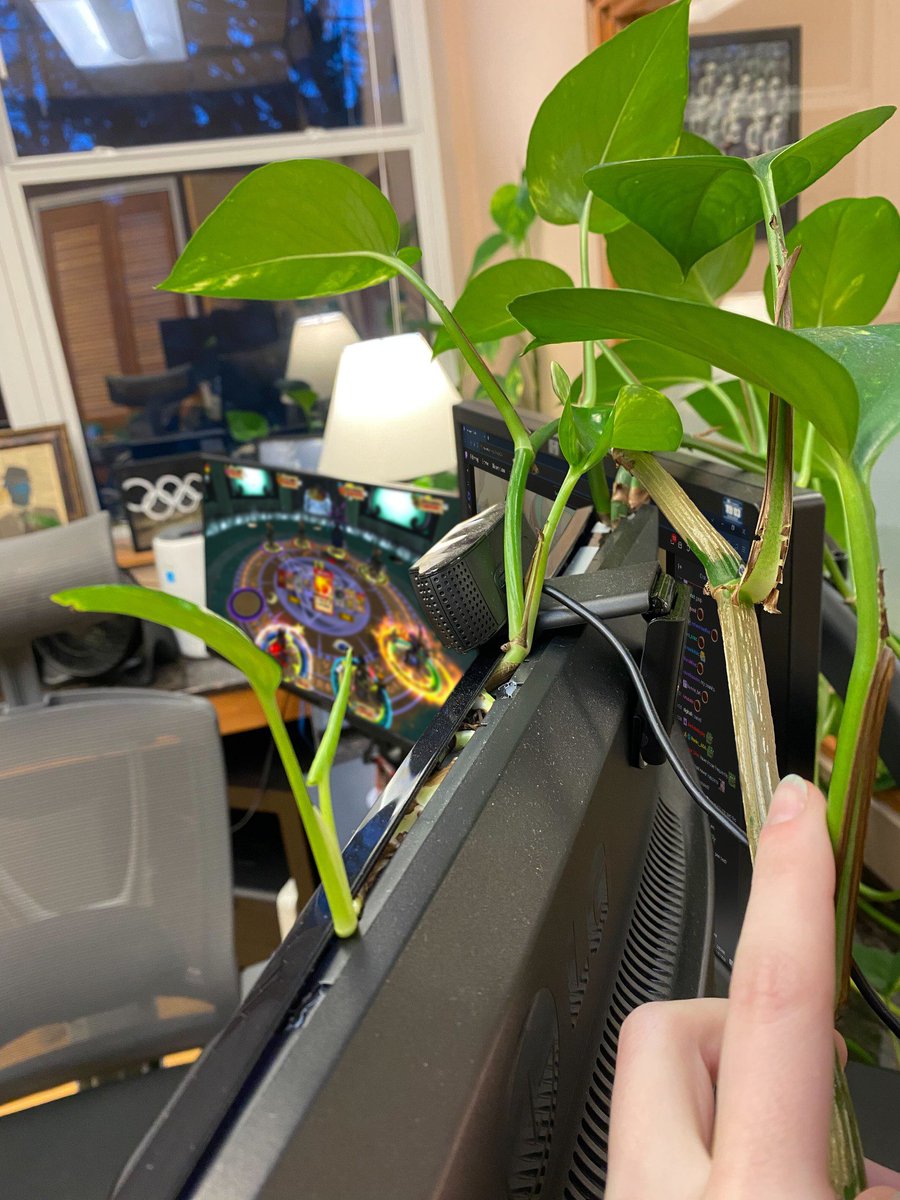 Aechkay 🍵 tweet media