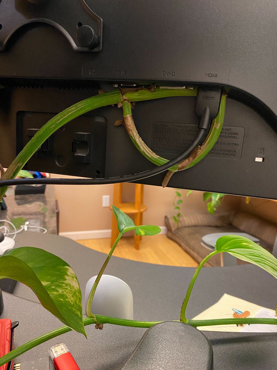 Aechkay 🍵 tweet media