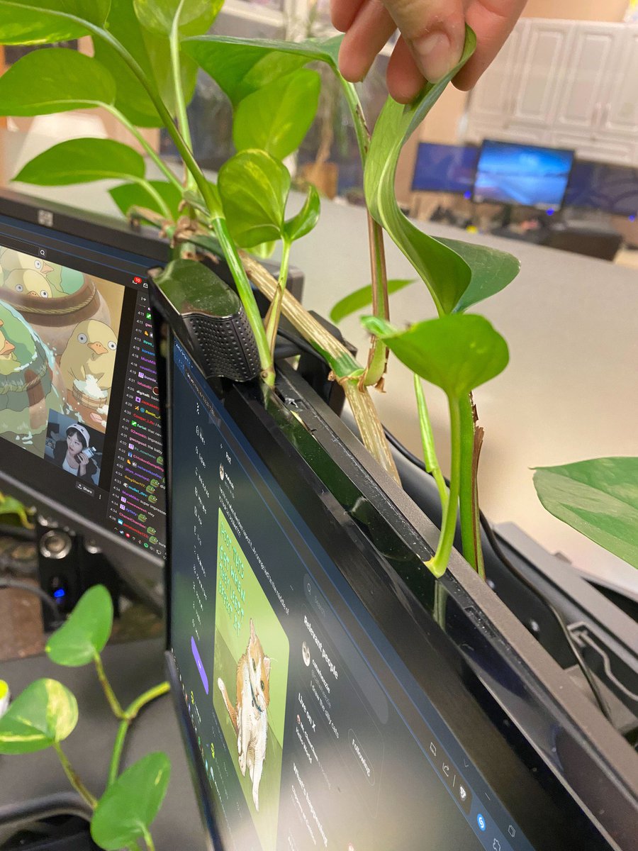 Aechkay 🍵 tweet media