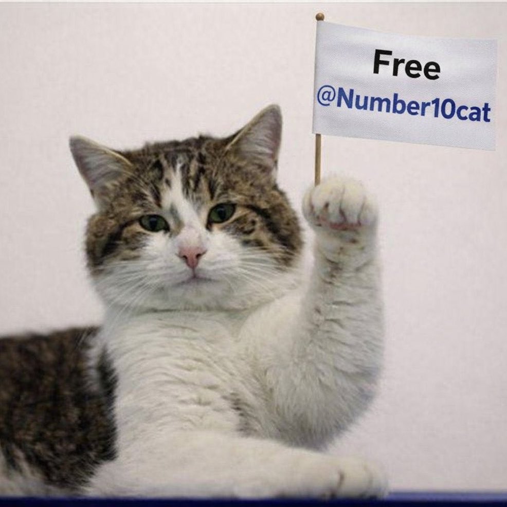 Georges Lauteur tweet media