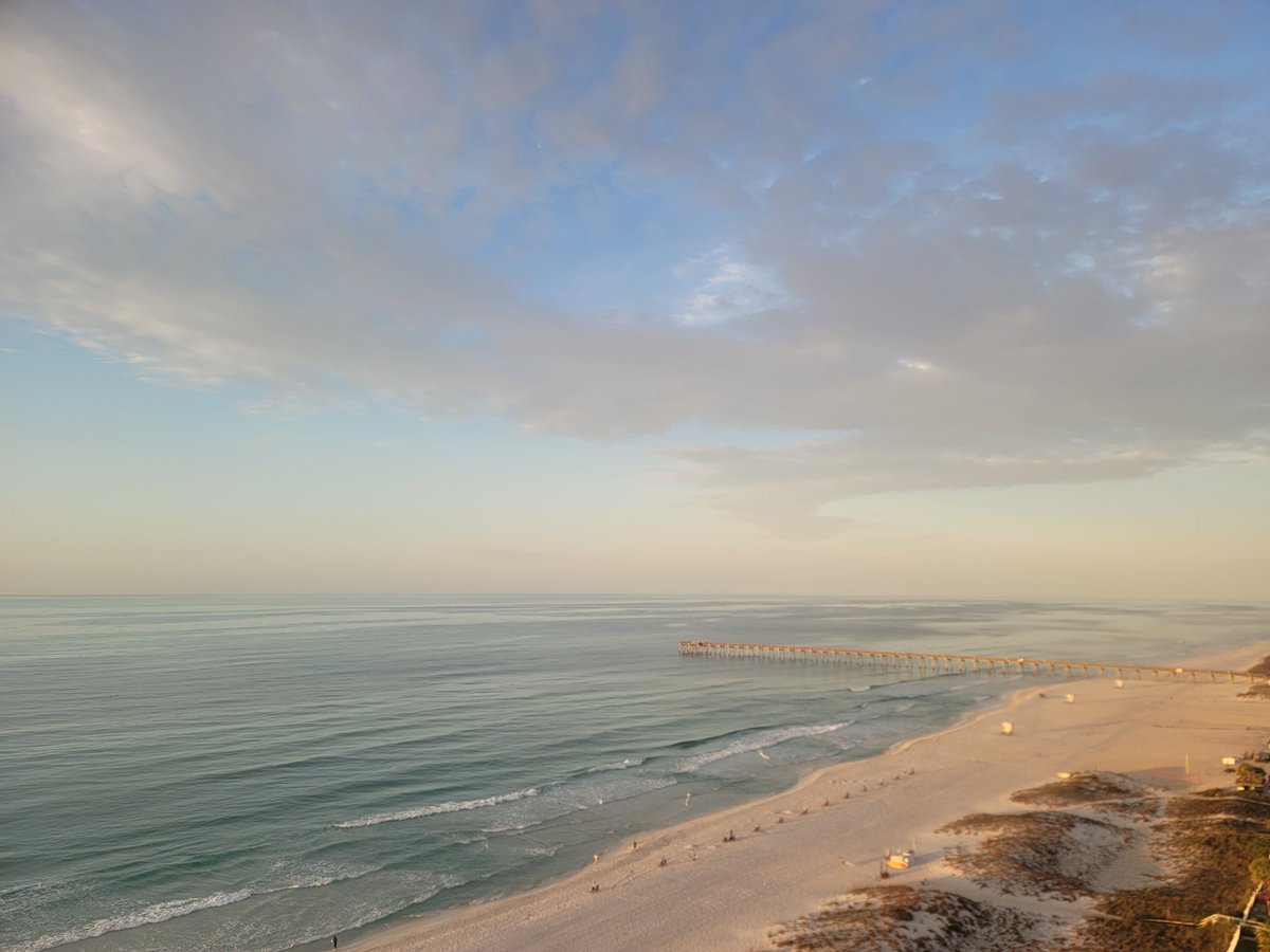 Darcy Telenko tweet media