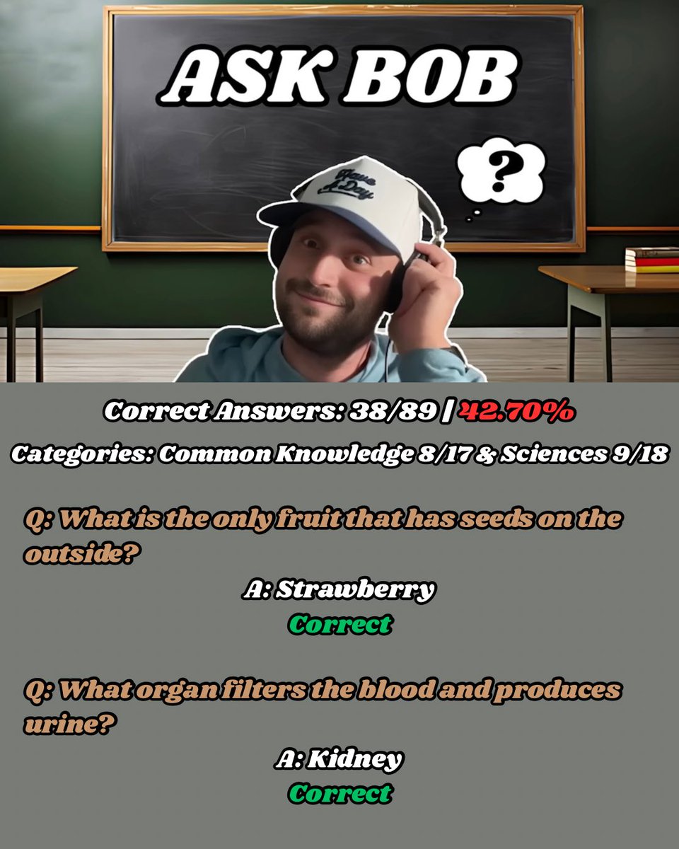 Brilliantly Dumb Show Tracker tweet media