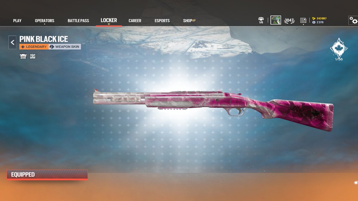 Shalom🀄 tweet media