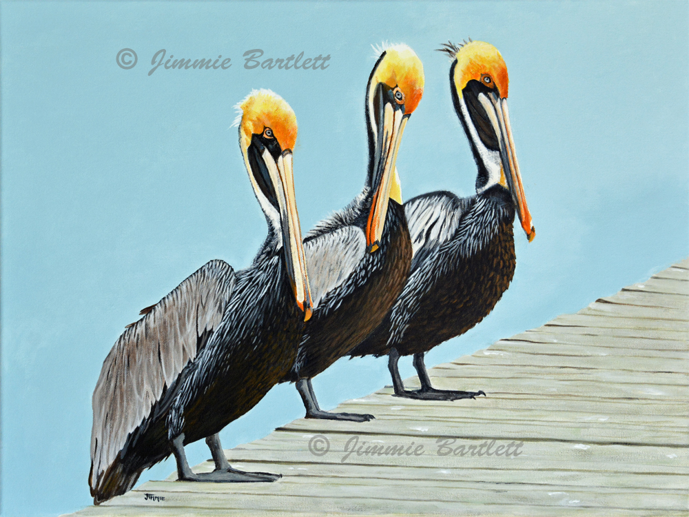 Jimmiesart tweet media