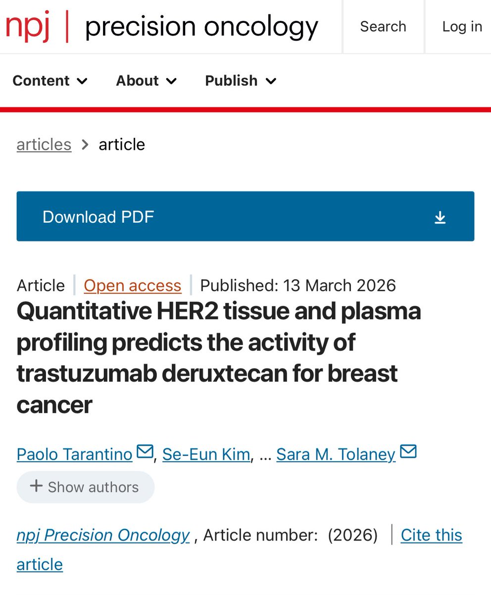 Paolo Tarantino tweet media