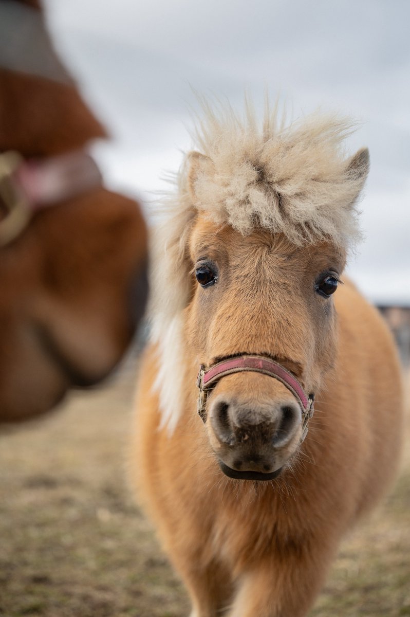 まりっぺ@うま tweet media