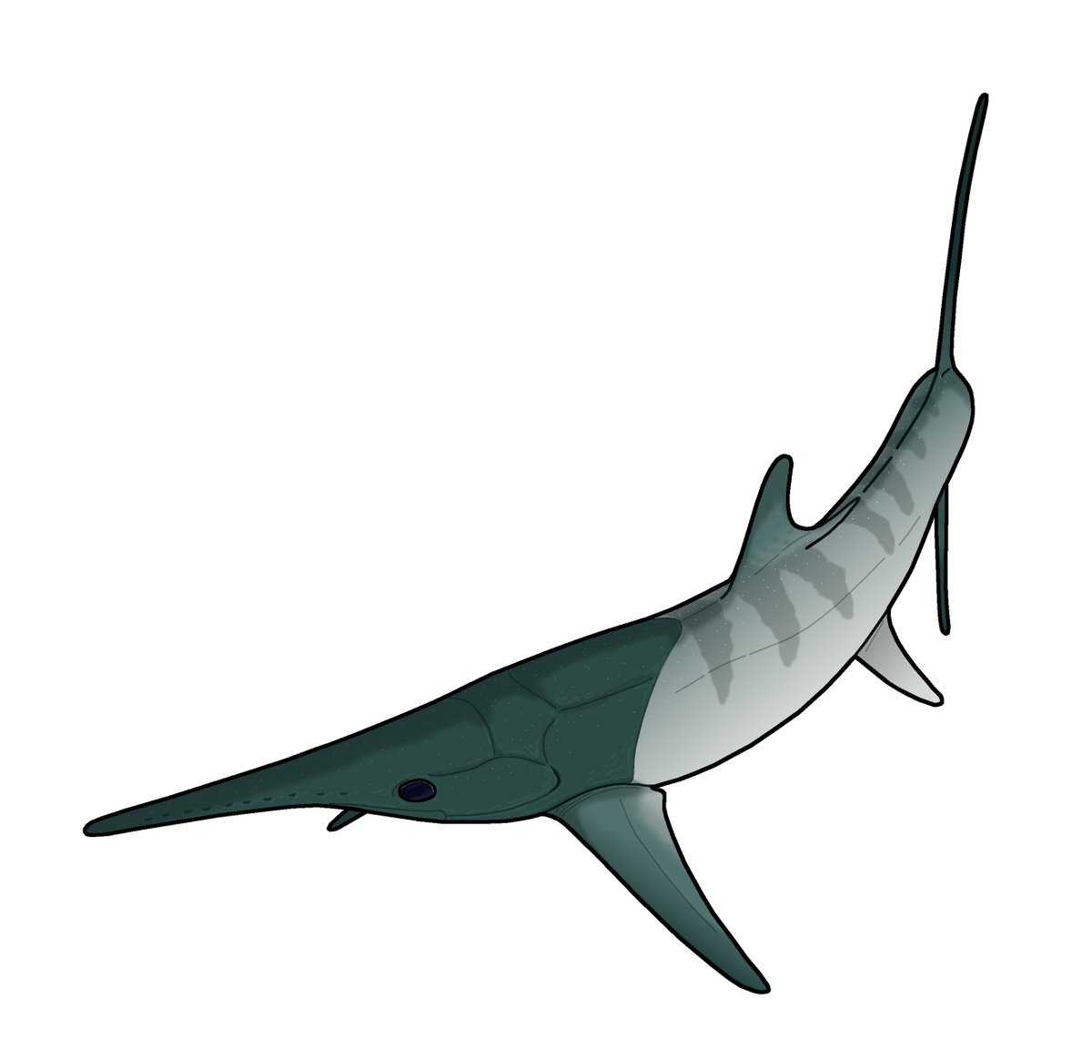 BatmanelVisigodo tweet media