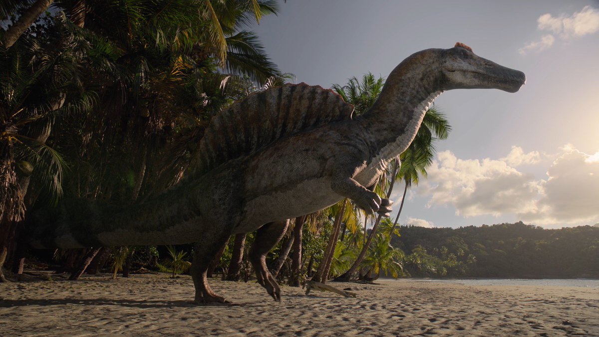 🦎Visceral🪶 (Tomistoma enjoyer🐊) tweet media