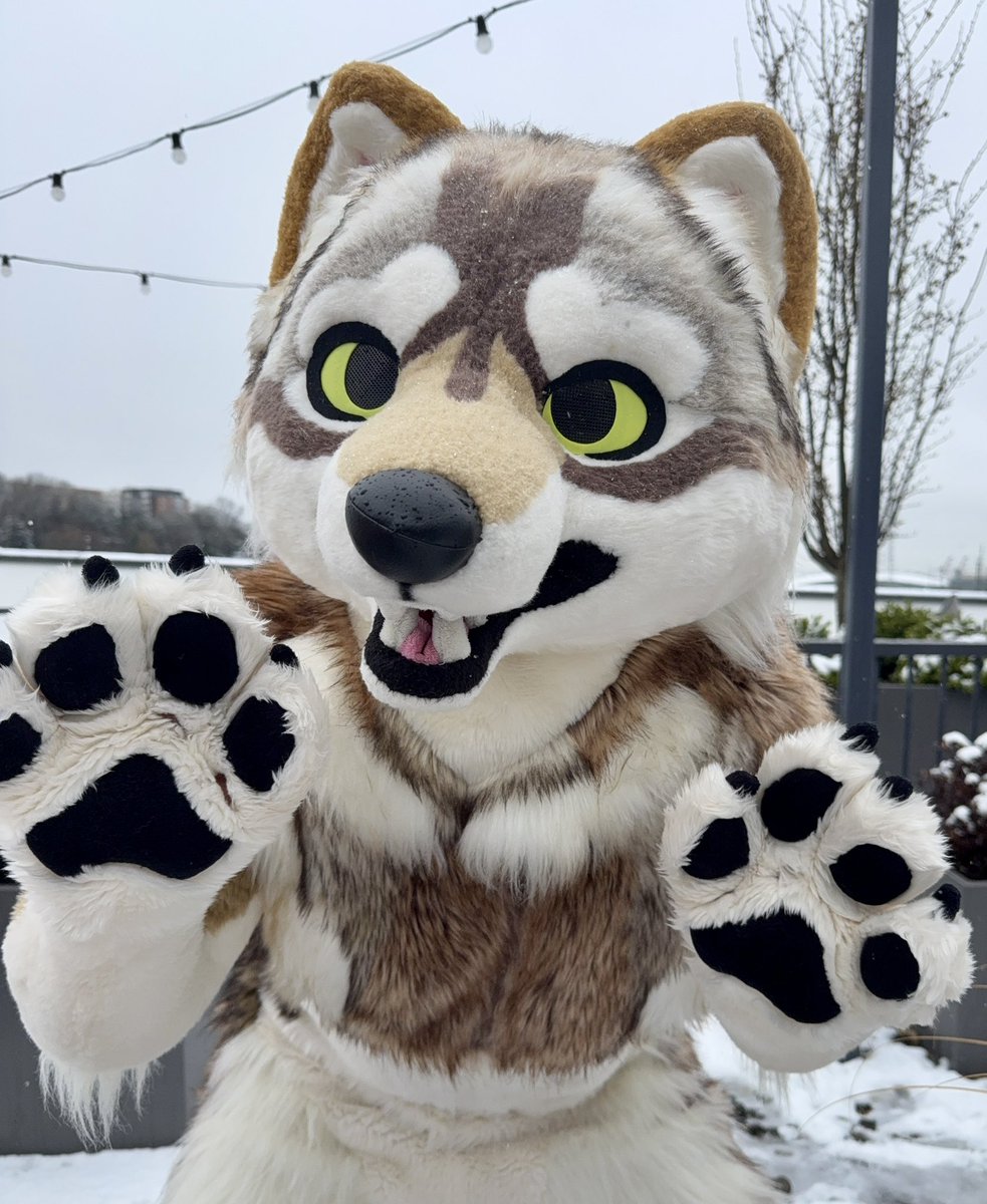 awoobark's tweet photo. it sno-wooing on #FursuitFriday !! 🌨️ https://t.co/GeyxmaGZcS