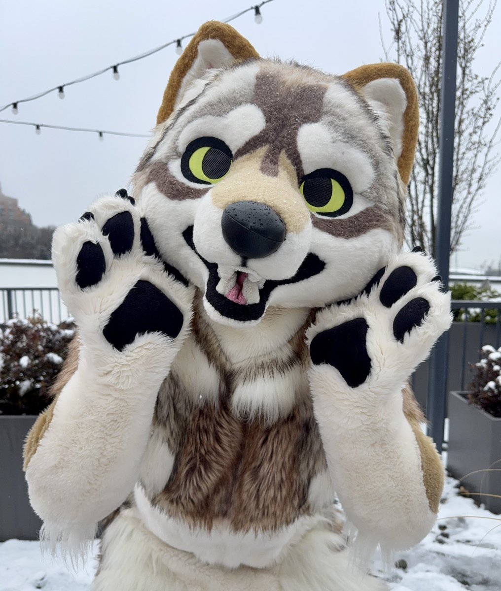 awoobark's tweet photo. it sno-wooing on #FursuitFriday !! 🌨️ https://t.co/GeyxmaGZcS