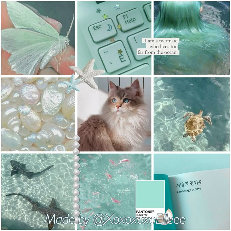 𝘽𝙪𝙣𝙣𝙞 ෆ | 𝙑𝙏𝙪𝙗𝙚𝙧 𝘼𝙧𝙩𝙞𝙨𝙩 tweet media