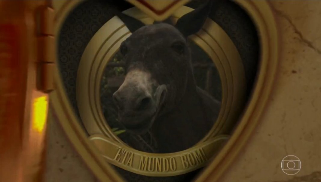 fael 🦒 tweet media