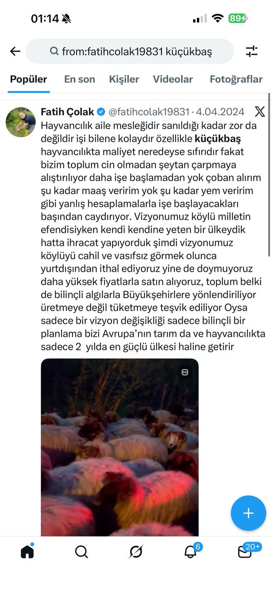 Fatih Çolak tweet media