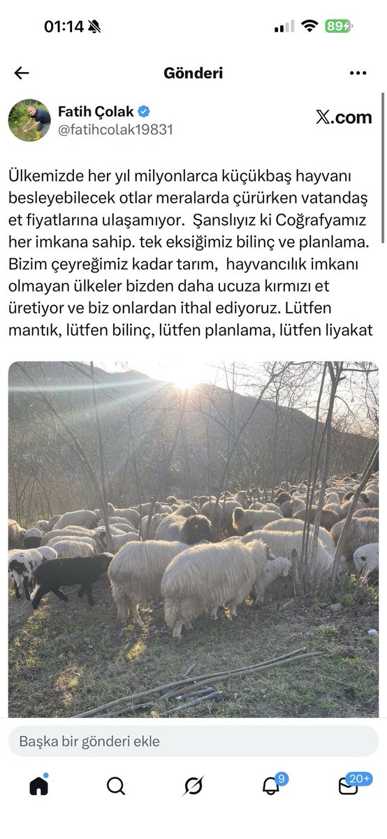 Fatih Çolak tweet media