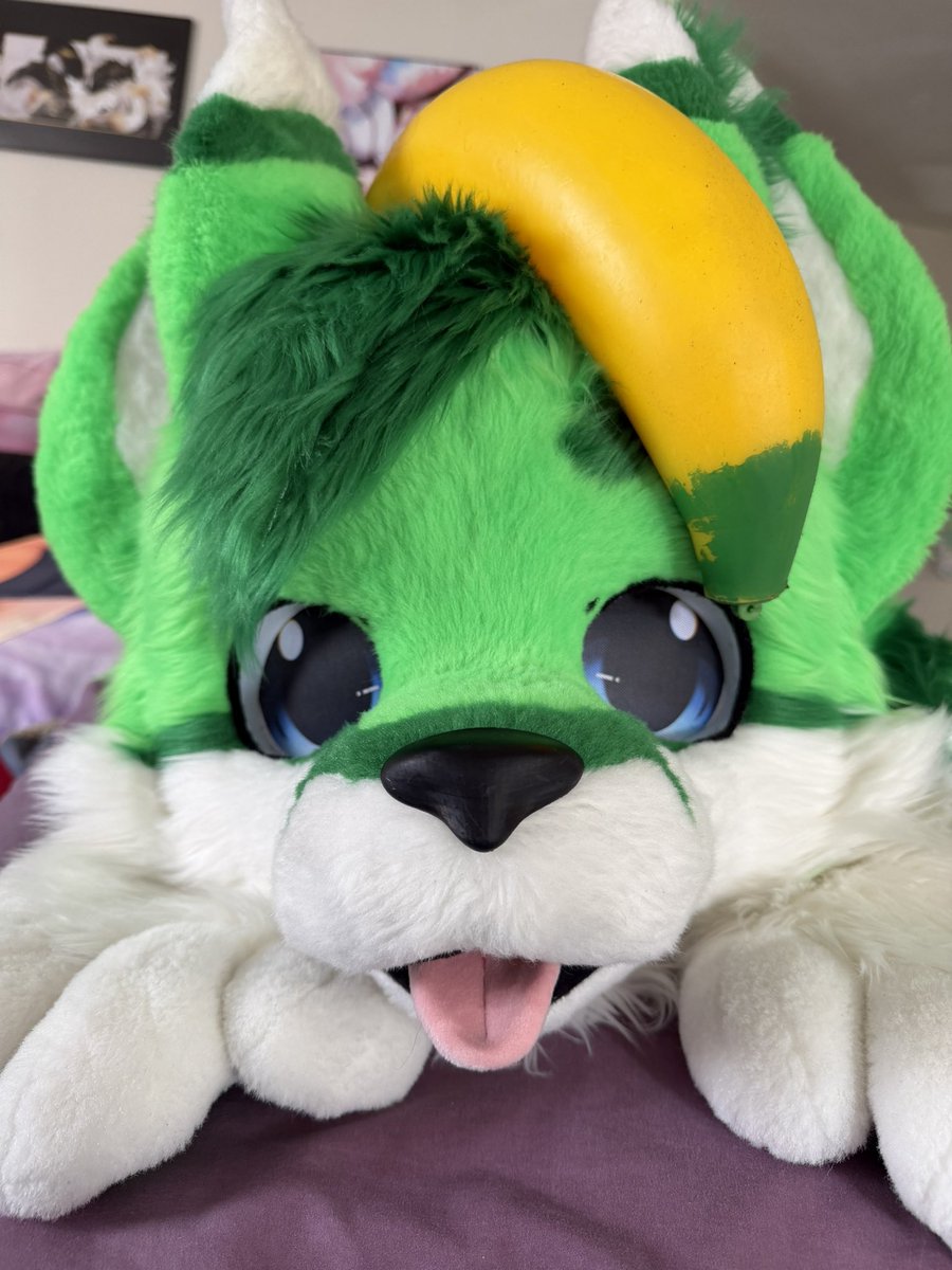 Tylerfennec tweet media