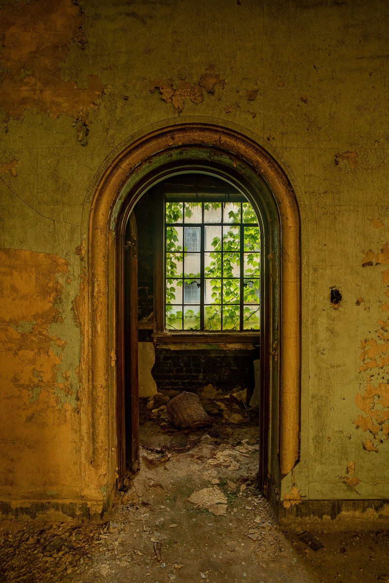 Mr. P. Explores tweet media