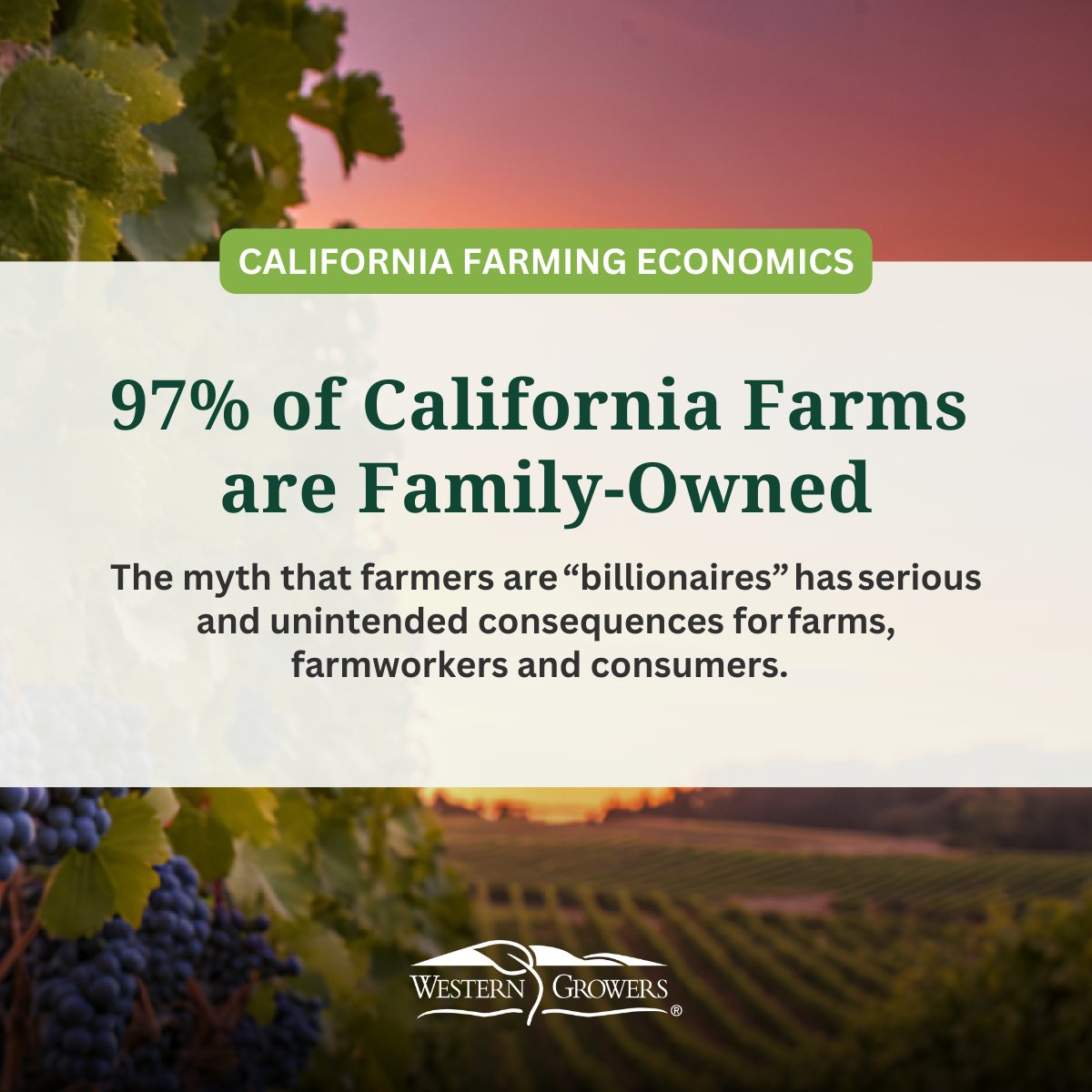 This segment highlights an ongoing discussion about the economics of farming. Let’s examine why propagating the myth that farmers are “billionaires” has serious and unintended consequences for farms, farmworkers and consumers. 

More than 97 percent of California farms are