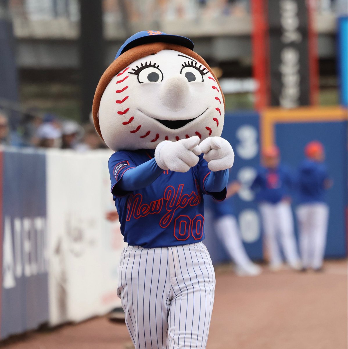 Metsmerized Online tweet media