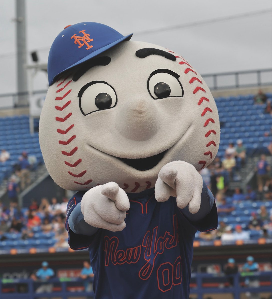 Metsmerized Online tweet media