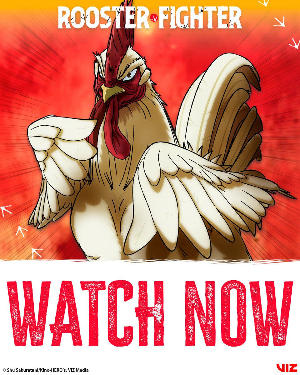 RoosterFighter_'s tweet photo. ¡Ya está disponible el primer episodio! 🐓

No te pierdas Rooster Fighter en @Hulu y @DisneyPlus. Nuevos episodios todos los domingos a la 1:00 a. m. (hora del Pacífico).

@niwatorifighte1 @VIZMedia @shu_sakuratani https://t.co/PYu1sjoCiE
