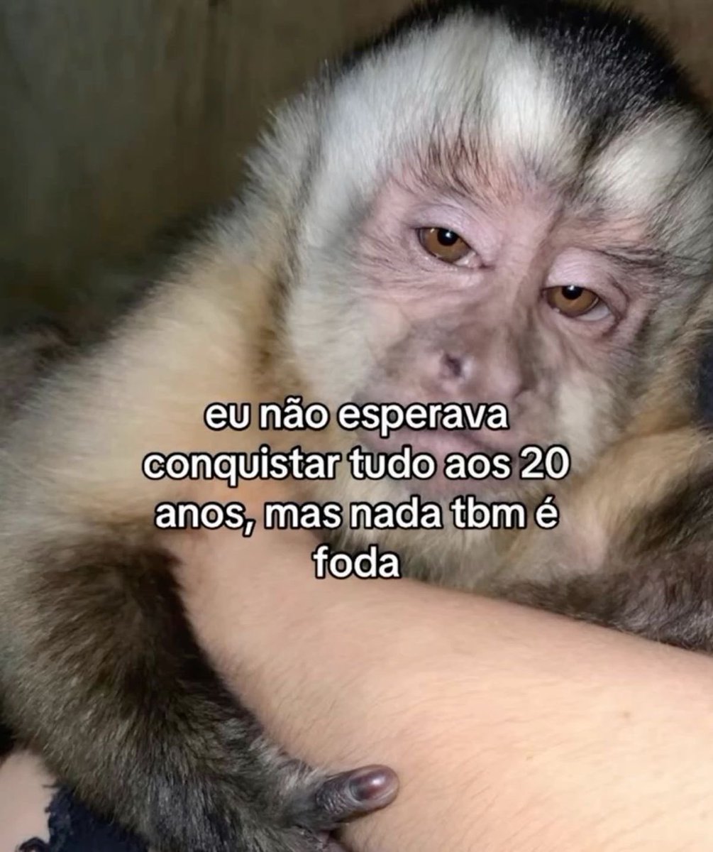 Pagina lixo (@paginalixo1) on Twitter photo 