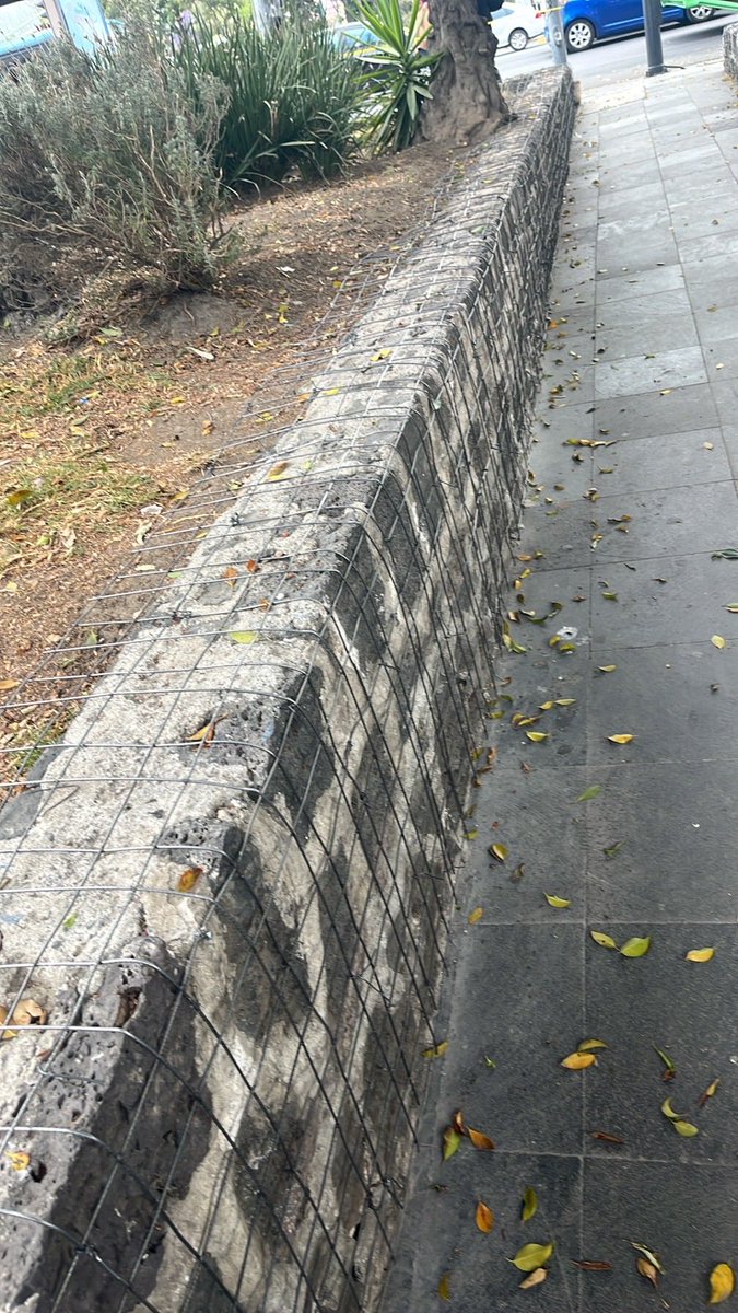 Chimalistac C tweet media