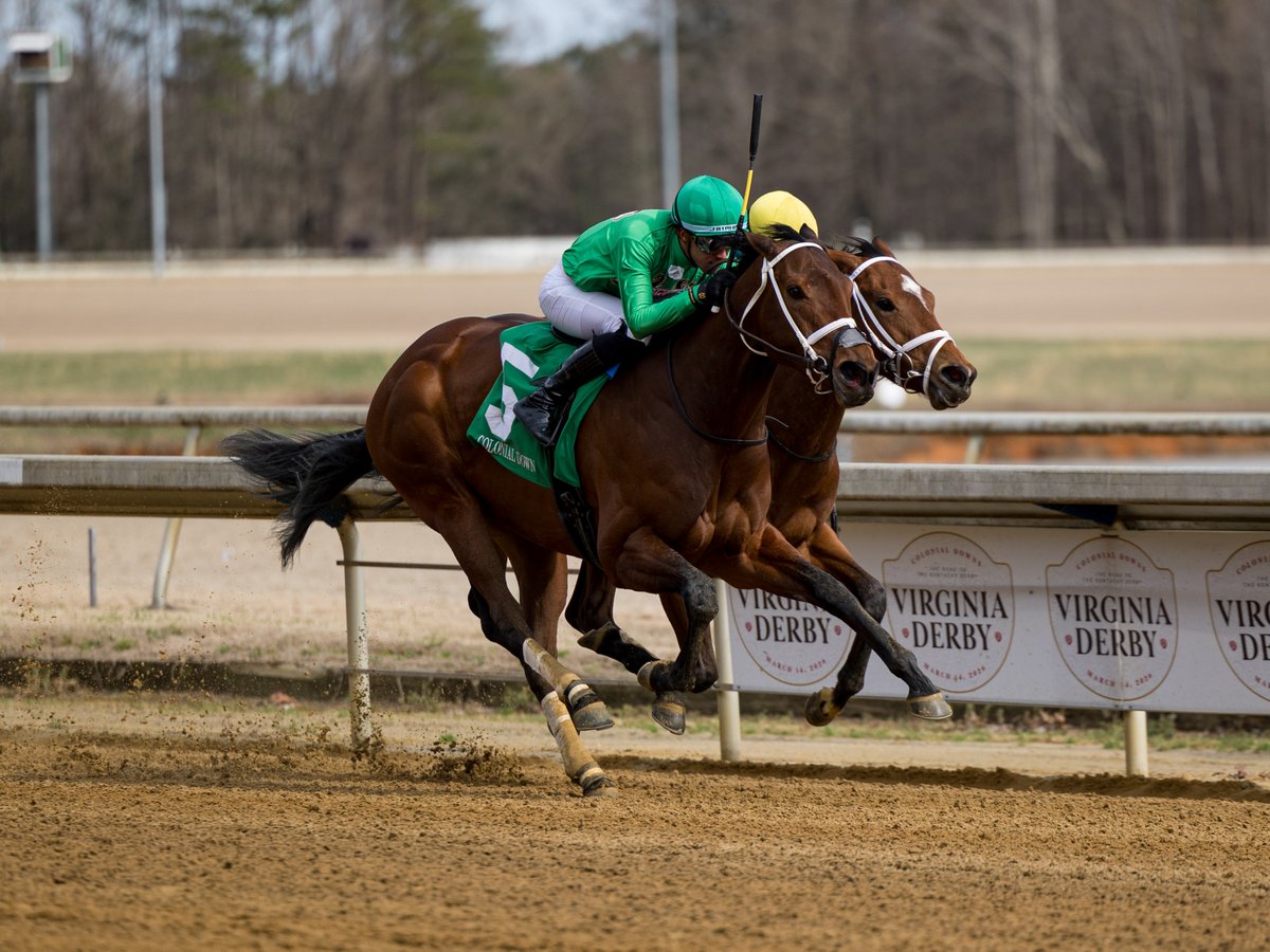 Agentes305 tweet media