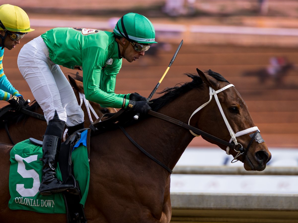 Agentes305 tweet media