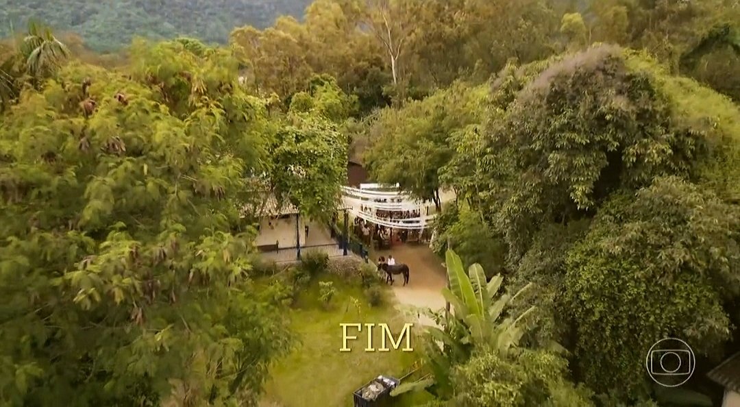 fael 🦒 tweet media