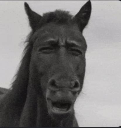 mayzevery's tweet photo. CRIHRS 
LOL MEME HORSE

HLJRMmRbV2y9o97ESfddPrtaUpTDbDNBYfi9xoEepump

#memecoin #memecoin100x #lol #jokecoin #pump https://t.co/W8e3CcYVyI
